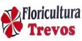 Floricultura Trevos