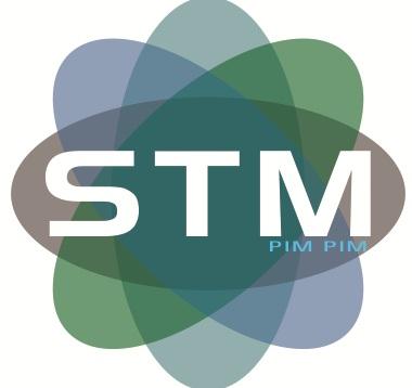 STM Serviços de Pintura